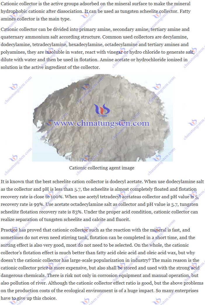 tungsten scheelite cationic collector image