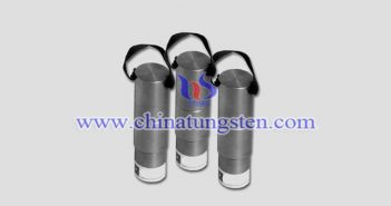 tungsten alloy vial shield picture