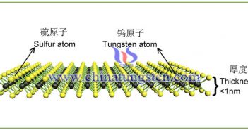 two-dimensional layered nanomaterial: nano tungsten disulfide picture