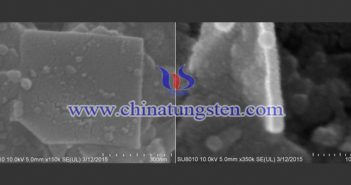 SEM of tungsten disulfide nanosheet image