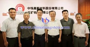 中国钨协丁学全会长到中钨高新调研指导工作