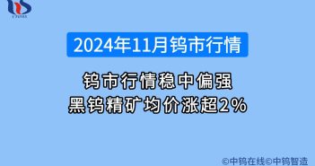 2024年11月钨市行情如何